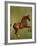 Whistlejacket, 1762-George Stubbs-Framed Giclee Print