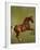 Whistlejacket, 1762-George Stubbs-Framed Giclee Print