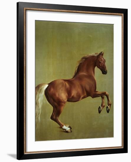 Whistlejacket, 1762-George Stubbs-Framed Giclee Print