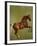 Whistlejacket, 1762-George Stubbs-Framed Giclee Print