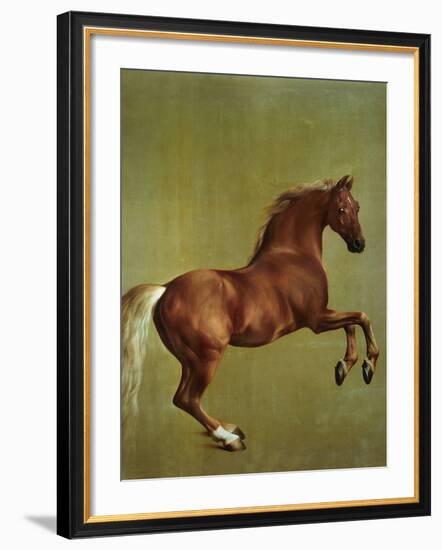 Whistlejacket, 1762-George Stubbs-Framed Giclee Print