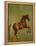 Whistlejacket , 1762-George Stubbs-Framed Premier Image Canvas