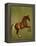 Whistlejacket , 1762-George Stubbs-Framed Premier Image Canvas