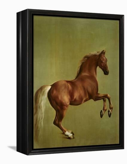 Whistlejacket , 1762-George Stubbs-Framed Premier Image Canvas