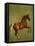 Whistlejacket , 1762-George Stubbs-Framed Premier Image Canvas