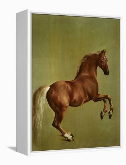 Whistlejacket , 1762-George Stubbs-Framed Premier Image Canvas