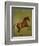 Whistlejacket , 1762-George Stubbs-Framed Giclee Print