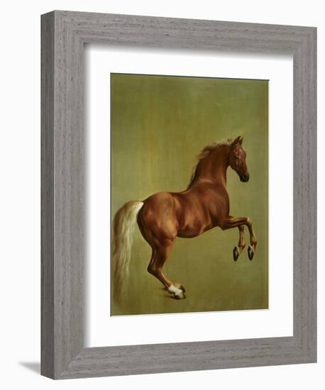 Whistlejacket , 1762-George Stubbs-Framed Giclee Print