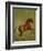 Whistlejacket , 1762-George Stubbs-Framed Giclee Print