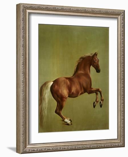 Whistlejacket , 1762-George Stubbs-Framed Giclee Print