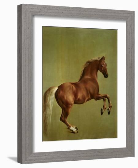 Whistlejacket , 1762-George Stubbs-Framed Giclee Print