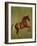 Whistlejacket , 1762-George Stubbs-Framed Giclee Print