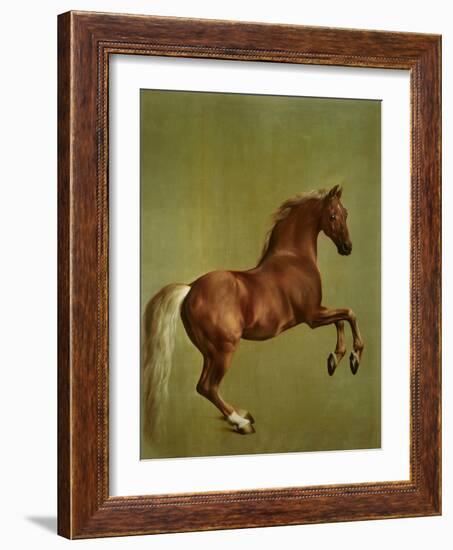 Whistlejacket , 1762-George Stubbs-Framed Giclee Print