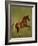 Whistlejacket , 1762-George Stubbs-Framed Giclee Print