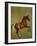 Whistlejacket , 1762-George Stubbs-Framed Giclee Print