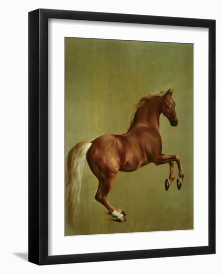 Whistlejacket , 1762-George Stubbs-Framed Giclee Print