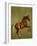 Whistlejacket , 1762-George Stubbs-Framed Giclee Print