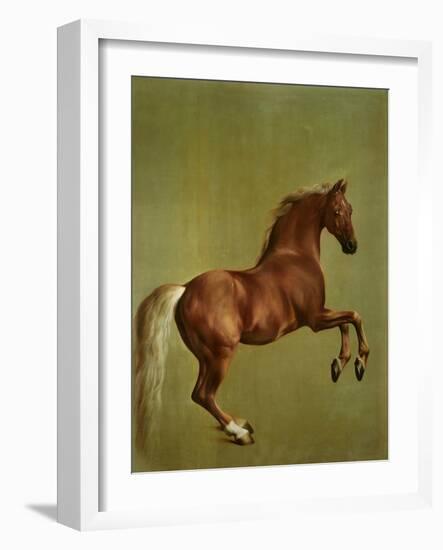 Whistlejacket , 1762-George Stubbs-Framed Giclee Print