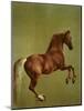 Whistlejacket , 1762-George Stubbs-Mounted Giclee Print