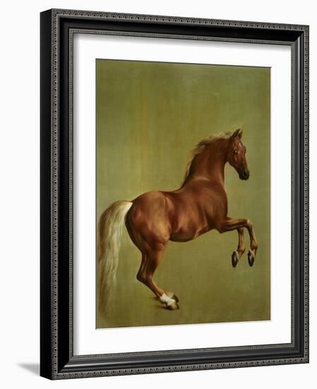 Whistlejacket , 1762-George Stubbs-Framed Giclee Print