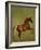 Whistlejacket , 1762-George Stubbs-Framed Giclee Print