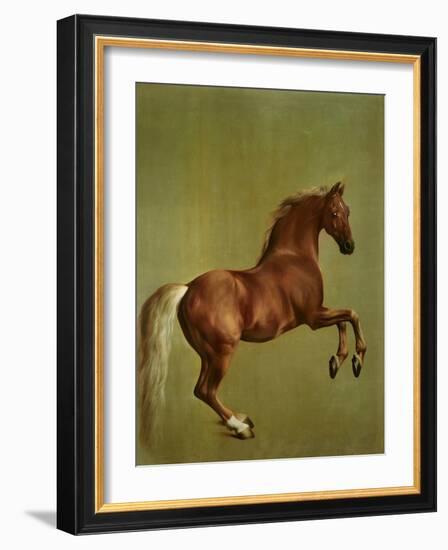 Whistlejacket , 1762-George Stubbs-Framed Giclee Print