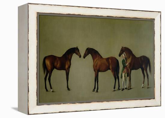 Whistlejacket and Two Other Stallions with Simon Cobb, the Groom, 1762-George Stubbs-Framed Premier Image Canvas