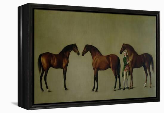 Whistlejacket and Two Other Stallions with Simon Cobb, the Groom, 1762-George Stubbs-Framed Premier Image Canvas