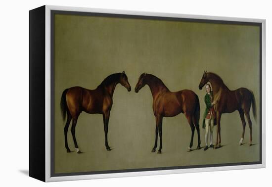 Whistlejacket and Two Other Stallions with Simon Cobb, the Groom, 1762-George Stubbs-Framed Premier Image Canvas