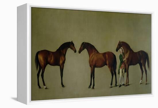 Whistlejacket and Two Other Stallions with Simon Cobb, the Groom, 1762-George Stubbs-Framed Premier Image Canvas