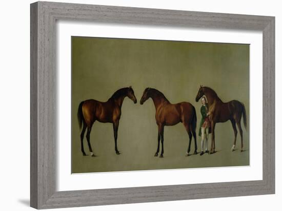 Whistlejacket and Two Other Stallions with Simon Cobb, the Groom, 1762-George Stubbs-Framed Giclee Print