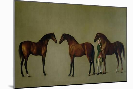 Whistlejacket and Two Other Stallions with Simon Cobb, the Groom, 1762-George Stubbs-Mounted Giclee Print