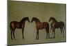 Whistlejacket and Two Other Stallions with Simon Cobb, the Groom, 1762-George Stubbs-Mounted Giclee Print