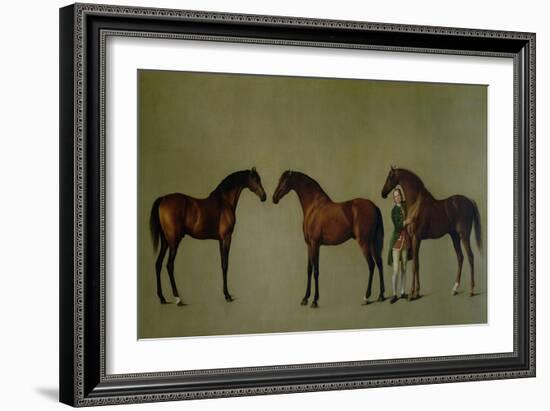 Whistlejacket and Two Other Stallions with Simon Cobb, the Groom, 1762-George Stubbs-Framed Giclee Print