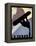 Whistler Mountain Winter Sports II-Tina Lavoie-Framed Premier Image Canvas