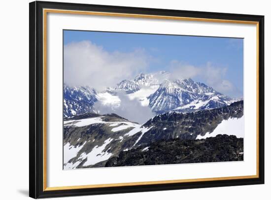 Whistler-meunierd-Framed Photographic Print