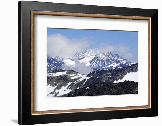 Whistler-meunierd-Framed Photographic Print