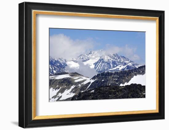 Whistler-meunierd-Framed Photographic Print