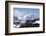 Whistler-meunierd-Framed Photographic Print