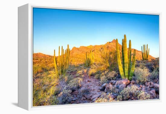 Whistling Organ Pipes-Anton Foltin-Framed Premier Image Canvas