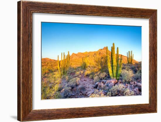 Whistling Organ Pipes-Anton Foltin-Framed Photographic Print