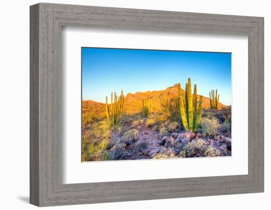 Whistling Organ Pipes-Anton Foltin-Framed Photographic Print