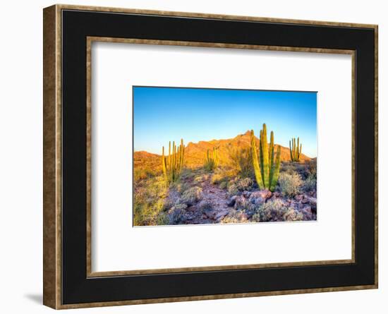 Whistling Organ Pipes-Anton Foltin-Framed Photographic Print