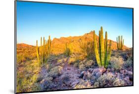 Whistling Organ Pipes-Anton Foltin-Mounted Photographic Print