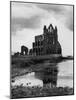 Whitby Abbey-Fred Musto-Mounted Photographic Print