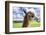 White Alpaca-BLFInk-Framed Photographic Print