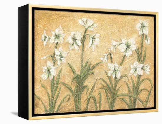 White Amaryllis Garden-Cheri Blum-Framed Stretched Canvas