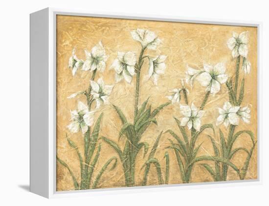 White Amaryllis Garden-Cheri Blum-Framed Stretched Canvas