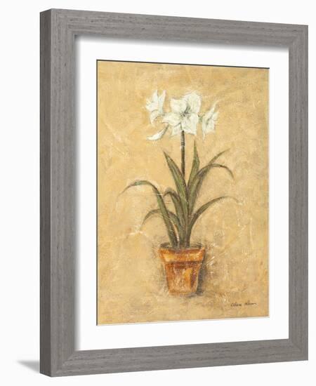 White Amaryllis II-Cheri Blum-Framed Art Print