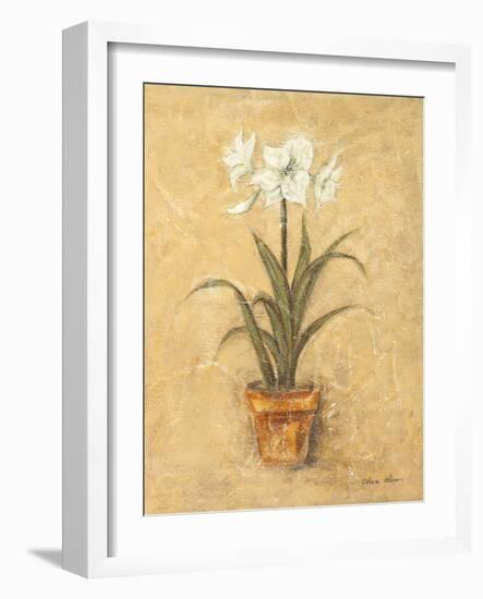 White Amaryllis II-Cheri Blum-Framed Art Print